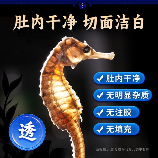 康美三斑海马中药饮片 一公一母正品海马泡酒药材海马干可搭海马田七汤 多规格 商品图8