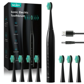 美国 沃尔玛 SEJOY 声波电动牙刷 USB充电 5种模式 智能计时  DY156-BLA