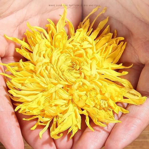 【严选】【高山金丝皇菊一朵一杯 贡菊】硒茶世家一级富硒金丝皇菊/提（厂家直发） 商品图1