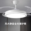 思坦库stakunft  全光谱护眼风扇灯餐厅吊扇灯 STK-50-01 商品缩略图1