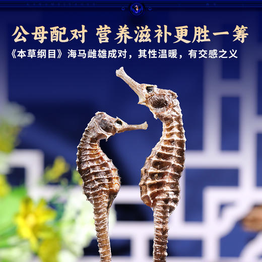 康美三斑海马中药饮片 一公一母正品海马泡酒药材海马干可搭海马田七汤 多规格 商品图9