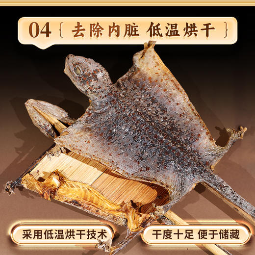 康美药业蛤蚧 中药饮片蛤蚧药材一对公母泡酒煲汤正品 商品图5