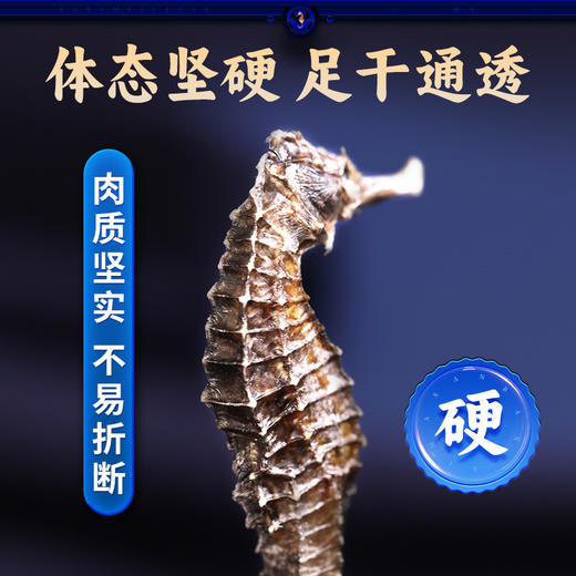 康美三斑海马中药饮片 一公一母正品海马泡酒药材海马干可搭海马田七汤 多规格 商品图6