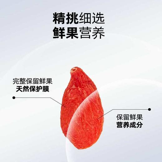 【宁夏】葆鲜特优枸杞 商品图4