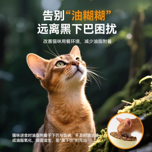 麦富迪原生鲜肉猫粮6/7.5kg囤货装全价成幼猫专用鸽子鸡肉通用型 商品图3