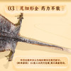 康美药业蛤蚧 中药饮片蛤蚧药材一对公母泡酒煲汤正品 商品缩略图4