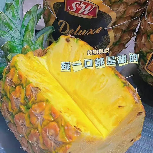 佳农黑钻凤梨1.5kg+  超大果 商品图1