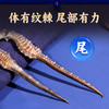 康美三斑海马中药饮片 一公一母正品海马泡酒药材海马干可搭海马田七汤 多规格 商品缩略图7