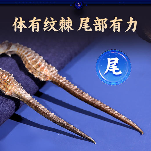 康美三斑海马中药饮片 一公一母正品海马泡酒药材海马干可搭海马田七汤 多规格 商品图7