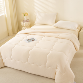 路易卡罗 针织大豆柔肤被 200 x 230cm（5斤）