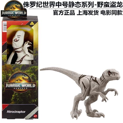 美太侏罗纪世界恐龙中号静态模型系列随机发MATCJGC04 商品图1