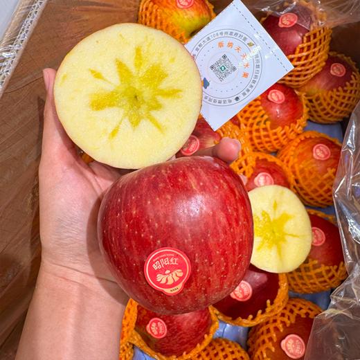 昭阳红苹果 脆甜 5A大果 商品图0