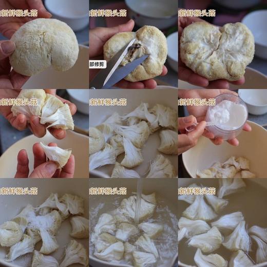 高山猴头菇 商品图3