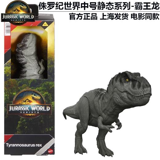 美太侏罗纪世界恐龙中号静态模型系列随机发MATCJGC04 商品图2