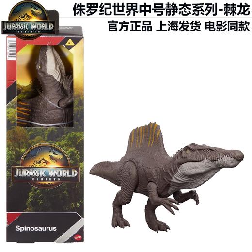 美太侏罗纪世界恐龙中号静态模型系列随机发MATCJGC04 商品图8