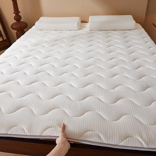 自然醒抗菌两用记忆棉床垫5公分LN 商品图9