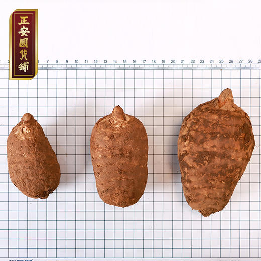 正安 云南昭通小草坝新鲜天麻【秒杀】道地产区核心区现挖现发 补充头脑营养 优质原材 个头短肥肉质肥厚 1.5kg/箱【不叠加任何活动】 商品图5