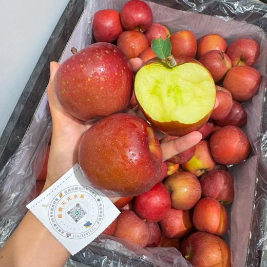 昭通糖心苹果 脆甜多汁 商品图2