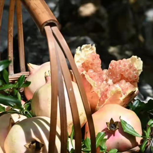 【云南蒙自甜石榴】硬籽甜石榴 现摘现发 皮薄籽多 清甜多汁 4种规格任选 商品图3