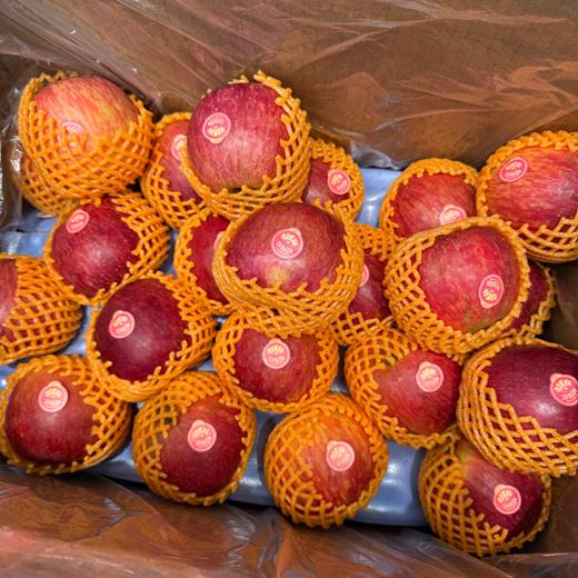 昭阳红苹果 脆甜 5A大果 商品图2