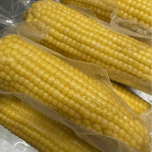 延边软糯香甜玉米3个800g 연변찰옥수수3개800g좌우 商品图0