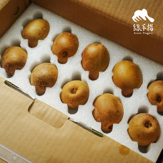 生态黄心猕猴桃(广西） | 合作生产*Ecological Kiwifruit | Partner Production 商品图2