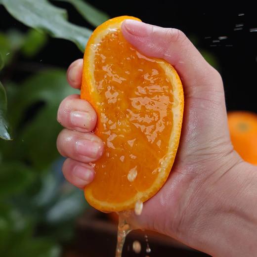 【分仓直发包邮】江西赣南脐橙约5斤精品果（单果80-90mm） 商品图1