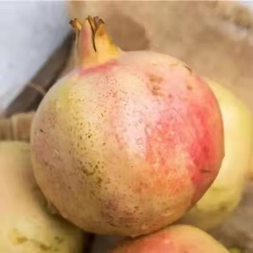 【云南蒙自甜石榴】硬籽甜石榴 现摘现发 皮薄籽多 清甜多汁 4种规格任选 商品图6