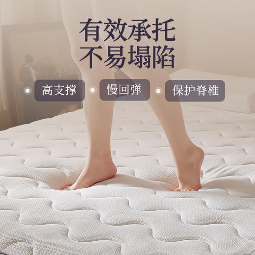 自然醒抗菌两用记忆棉床垫5公分LN 商品图3