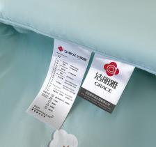 洁丽雅 棉朵舒馨大豆被 200*230cm（4斤） 商品图2