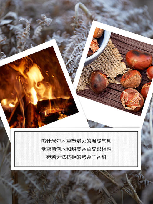 Maison Margiela梅森马丁马吉拉 明星香氛温暖壁炉淡香水香水礼物 商品图1