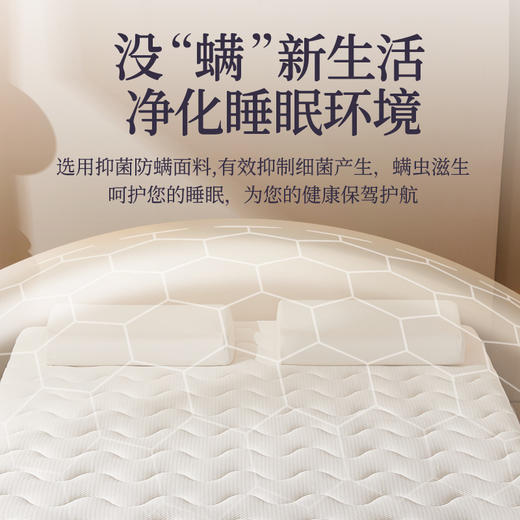 自然醒抗菌两用记忆棉床垫5公分LN 商品图1