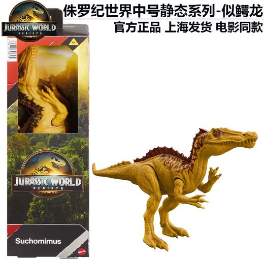 美太侏罗纪世界恐龙中号静态模型系列随机发MATCJGC04 商品图6