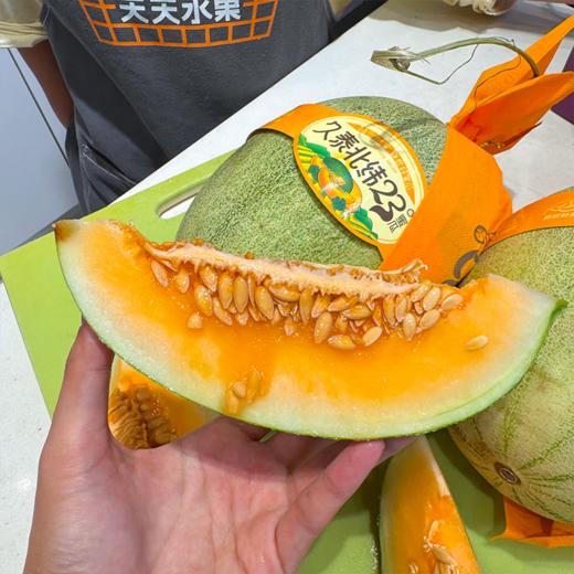 海南哈密瓜 甜脆黄肉 商品图8