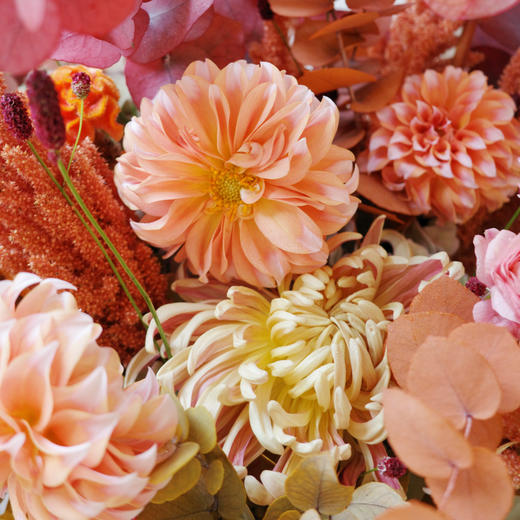 碎金花绪 Fiorire 商品图3