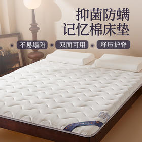 自然醒抗菌两用记忆棉床垫5公分LN