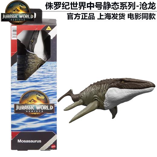 美太侏罗纪世界恐龙中号静态模型系列随机发MATCJGC04 商品图4