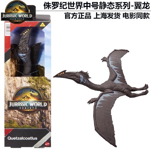 美太侏罗纪世界恐龙中号静态模型系列随机发MATCJGC04 商品图3