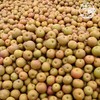 【云南麦地湾梨】酥脆爽口 酸甜可口 肉厚多汁 个头均匀 适合熬汤 榨汁 2种规格任选 商品缩略图4