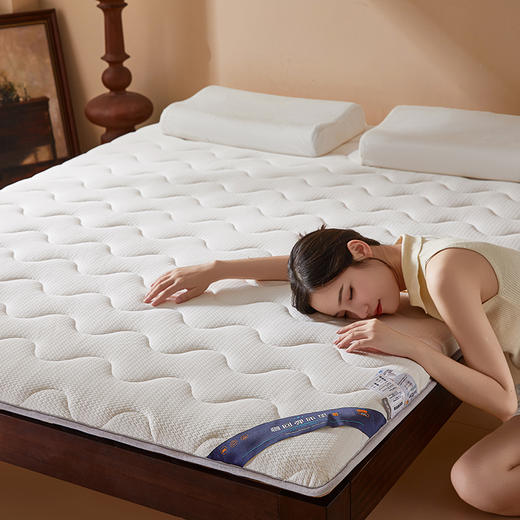 自然醒抗菌两用记忆棉床垫5公分LN 商品图8