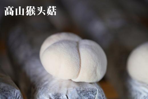 高山猴头菇 商品图0