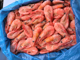 加拿大北极冰虾一盒