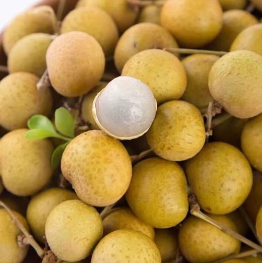 泰国鲜龙眼500g 商品图0