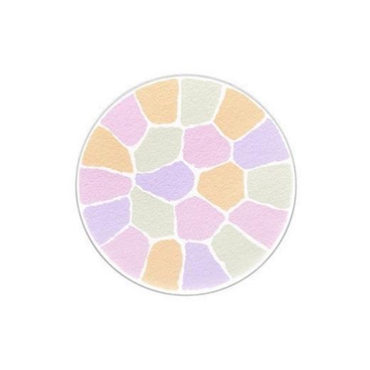 雅莉格丝【本土版】欢颜蜜粉饼家庭装27g（E大饼） 商品图2