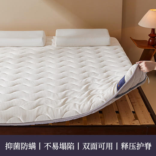 自然醒抗菌两用记忆棉床垫5公分LN 商品图4