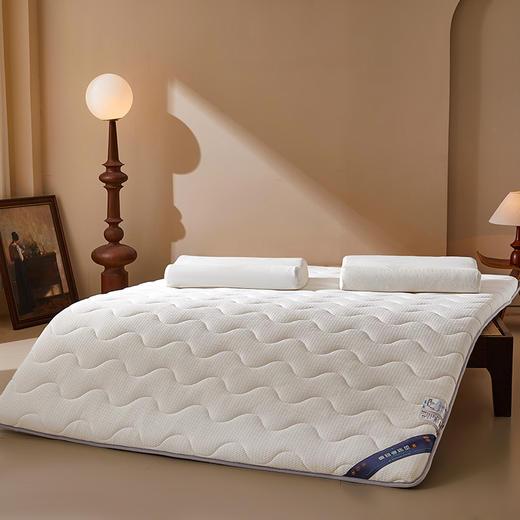 自然醒抗菌两用记忆棉床垫5公分LN 商品图13