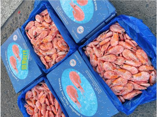 加拿大北极冰虾一盒 商品图2