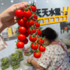 一颗大番茄串千禧 甜 商品缩略图4