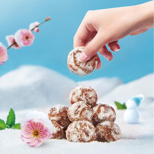 溜溜梅雪梅|真乌梅|清梅160g 商品图4