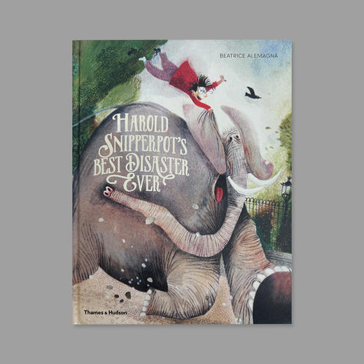 英文原版｜哈罗德·斯尼珀波特有史以来*好的灾难 HAROLD SNIPPERPOT’S BEST DISASTER GVER 商品图0